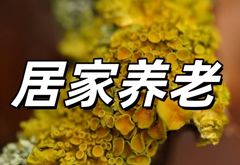 居家养老包含哪些上门照料项目?