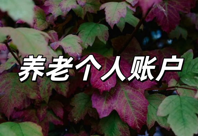 养老个人账户余额是什么意思?养老保险个人账户计息与退休金影响因素