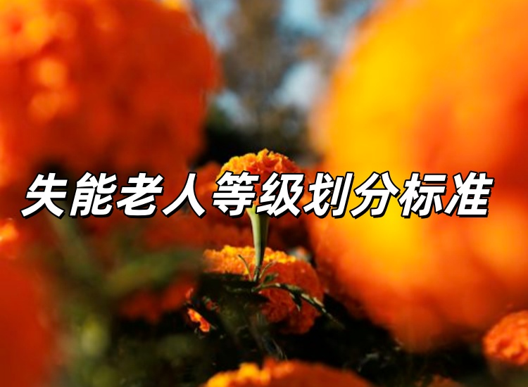 jpg photo-1791230975170-6cbe3110dd22.jpg